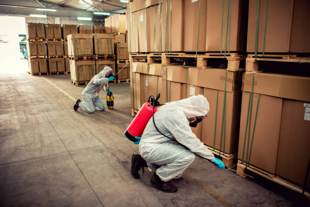 Best Bed Bug Extermination  in Glen Rock, NJ