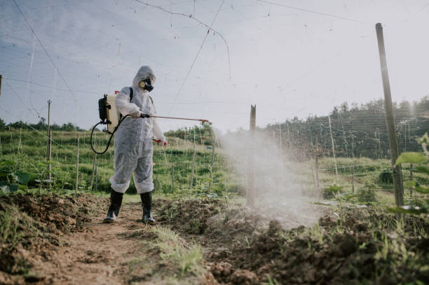 Best Mosquito Control Services  in Glen Rock, NJ
