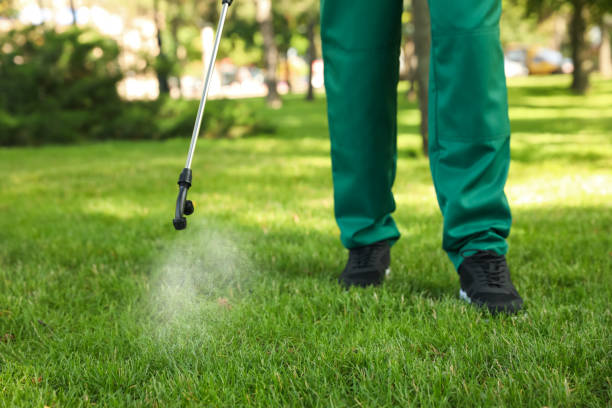 Best Emergency Pest Control  in Glen Rock, NJ
