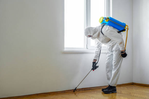 Best Pest Removal Services  in Glen Rock, NJ