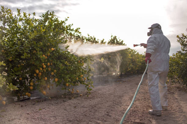 Professional Pest Control in Glen Rock, NJ