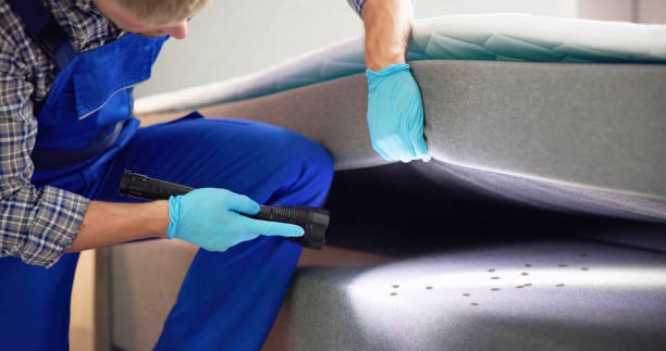 Best Residential Pest Control  in Glen Rock, NJ