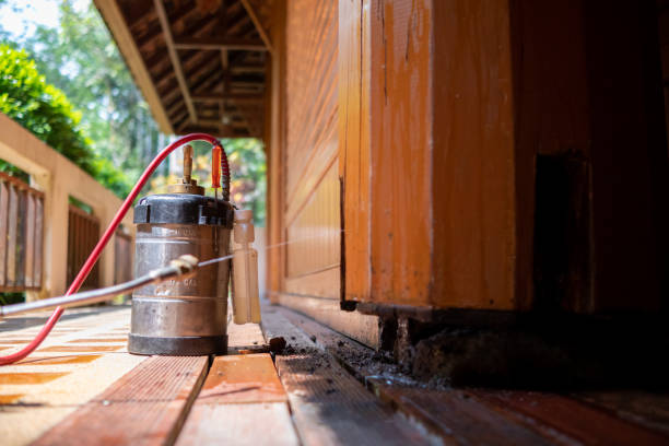 Best Pest Control Cost  in Glen Rock, NJ