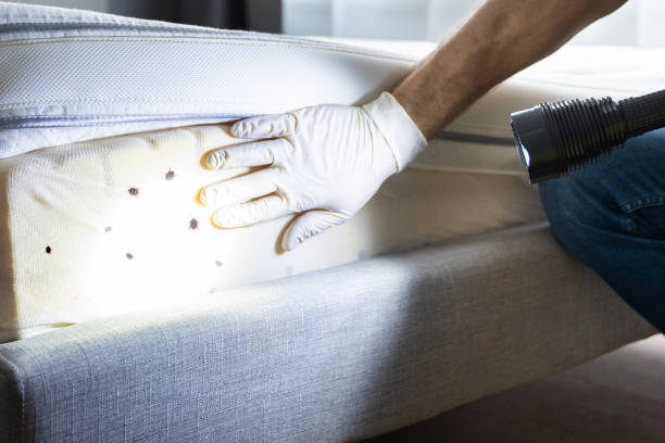 Best Emergency Pest Control  in Glen Rock, NJ