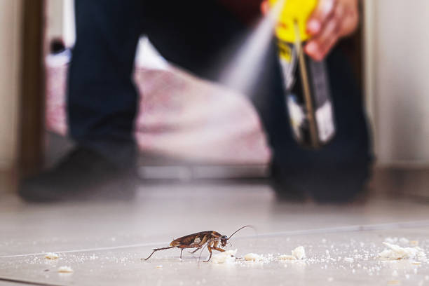 Best Cockroach Control Services  in Glen Rock, NJ