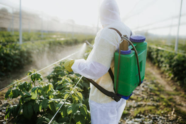 Best Insect Control  in Glen Rock, NJ
